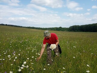 A man collects a bouquet of flowers in a meadow.