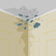 Mold on walls and ceiling. Mold on wall in bathroom or living room. Mildew in shower. Stains on wall and ceil. Concept of condensation, damp, high humidity and respiratory problems.Vector illustration