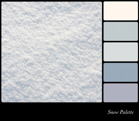 Snow background in a colour palette with complimentary colour swatches.
