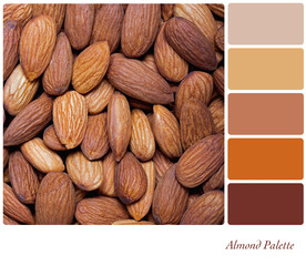 Almond nut background in a colour palette with complimentary colour swatches.