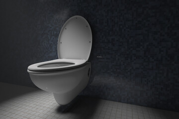 Open clean toilet bowl in restroom. Human life and comfort