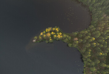 Cape in the forest beautiful lake. Top view.