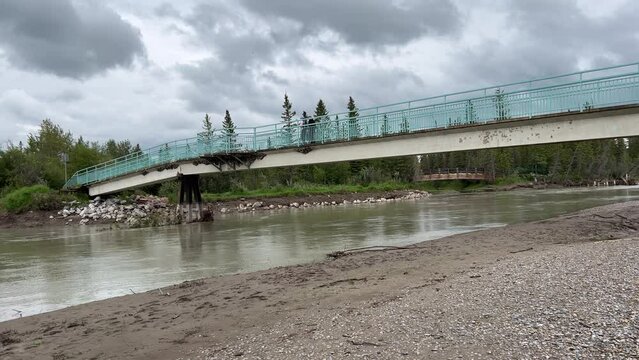 Views of Weaselhead flats wetlands in the city of Calgary, Alberta on a cool summer day.