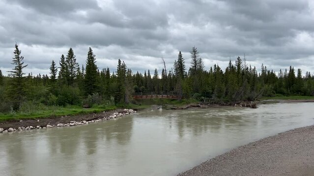 Views of Weaselhead flats wetlands in the city of Calgary, Alberta on a cool summer day.
