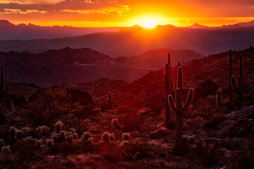 Tonto National Forest Sunset