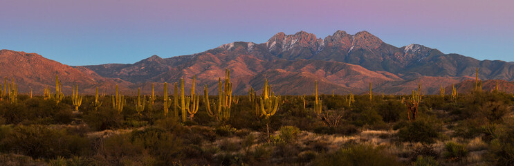 Four Peaks Wilderness, Arizona