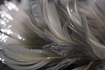 Gentle sparkling gray feather background close up. Soft focus