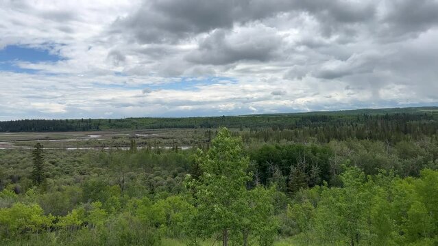 Views of Weaselhead flats wetlands in the city of Calgary, Alberta on a cool summer day.