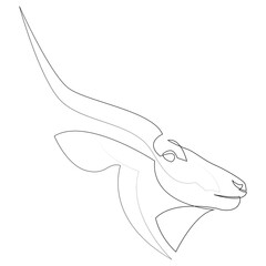 Fototapeta premium Abstract minimalist kudu logo vector. Continuous line illustration on white background