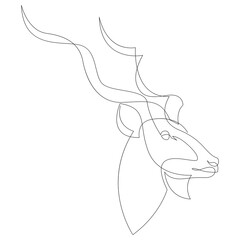 Fototapeta na wymiar Greater kudu head minimalist drawing. Continuous line art. Vector illustration.