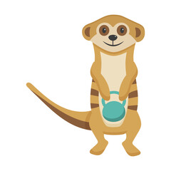 Meerkat goes in for sports. Weightlifting and kettlebell. Cute character for children's sports section. Motivation for sports.
