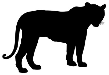 Vector Sillouette - Tiger