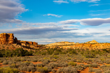 Typical southwestern desert landscape with red rock mesas and vegetation of sagebrush, pinion pine, and juniper under a blue sky with clouds in Canyonlands National Park