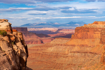 A deep canyon in Canyonlands National Park, Utah with view of Manti-La Sal Mountains in the distance