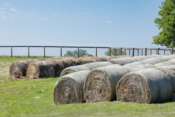 Round bales of hay wrapped in mesh stored outside on the grass with a fence and blue sky in the...