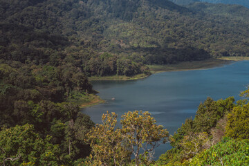 Fototapeta na wymiar Buyan Lake, Bali, Indonesia. Tropical nature, background.