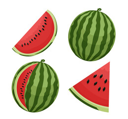 Set of 4 watermelon parts cartoon vector illustration. Whole watermelon, slices. Melon. Exotic fruit on white background.