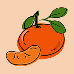 
Fresh tangerine Whole and sliced ​​fruits with green leaves.
Vector illustration hand drawn in doodle style