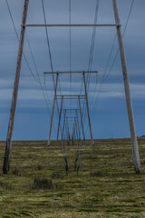 Elektrische Leitungen und Holzmasten mit blauen Himmel