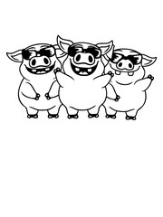 Team Sonnenbrillen Coole Schweine 