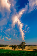 Obraz na płótnie Canvas Wolken am Abend über einem Feld