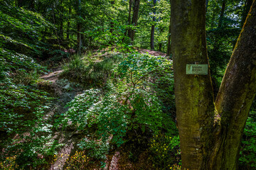 Im Naturpark Stromberg-Heuchelberg