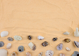 Fototapeta na wymiar Sand with shells top view. Seashells on the sand empty space for text. Background sea sand grains, fine beach flat lay. summer holidays