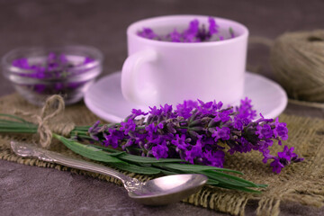 Obraz na płótnie Canvas Fragrant lavender tea in a cup bouquet of fresh lavender flowers.Close-up.
