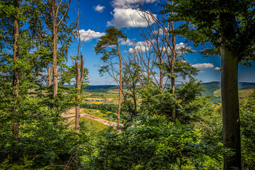 Fototapeta premium Im Naturpark Stromberg-Heuchelberg