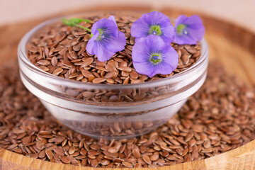 Obraz na płótnie Canvas Useful flax seeds in a glass bowl and flax flowers.Close-up. 