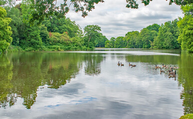 A flock of geese set off across the long lake at Sheffield Park with wonderful colourful reflections