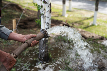 A park worker is watering the trees with a hose. High quality photo