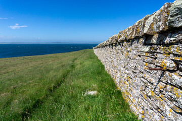 traditional stone and rock wall separating green grassy fields on the coast with a view of deep blue ocean behind