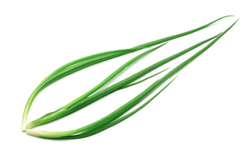Fototapeta premium Young green onion isolated on white background.Bunch of fresh onion. Vitamin vegetables. Organic vegetables.