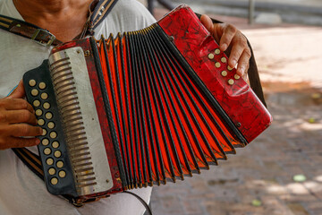 Dominican Republic. The musician plays the accordion. A hand plays the accordion close-up....