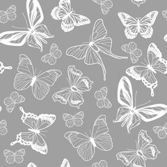 Delicate  buttreflies monochrome gray white seamless pattern 
