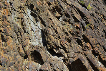 Rocky Texture from Mountainside