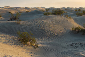 Natural Light from Sunrise Creating Shadows on Mesquite Flat Sand Dunes in Death Valley National Park