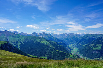 Fototapeta premium Idyllic landscape in the Alps with fresh green meadows and blooming flowers and snow-capped mountain tops in the background