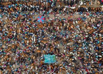 Eid ul Adha Cattle Market in Bangladesh