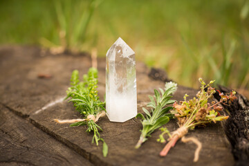 Witch altar with alchemy ingredients