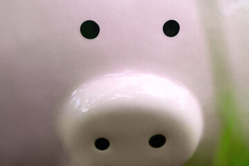 Pink Piggy bank close up. World crisis concept