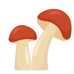 mushroom on white background in flat style