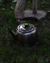 Teapot on the grass