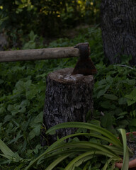 Axe in the stump