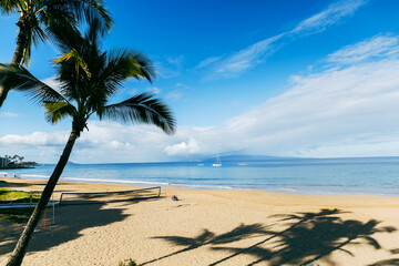 A beach in Maui Hawaii with sand, waves, palm trees and a blue sky