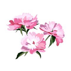 Peonies. Vector, color illustration. Composition of flowers. Template for a postcard or gift certificate.
