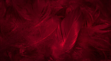 purple feathers with visible details. background or texture