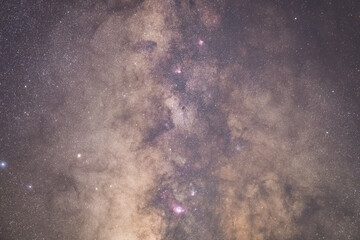 天の川の中に見えるバンビの可愛い横顔