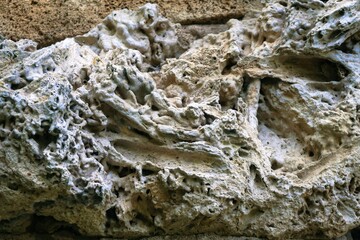 stone and moss